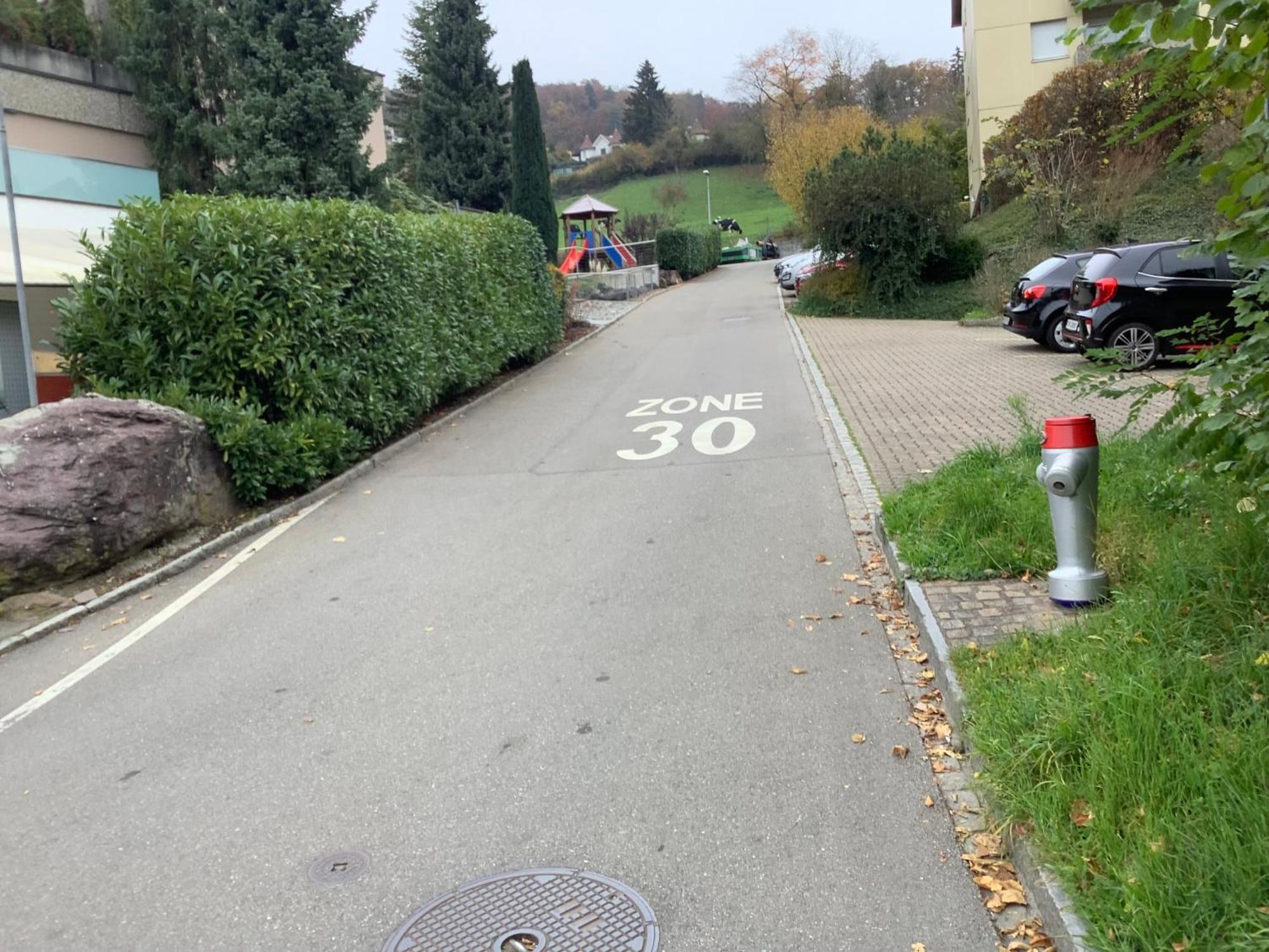 Chambre Spacieuse Et Confortable Avec Ecran Plat Oetwil an Der Limmat Exteriör bild